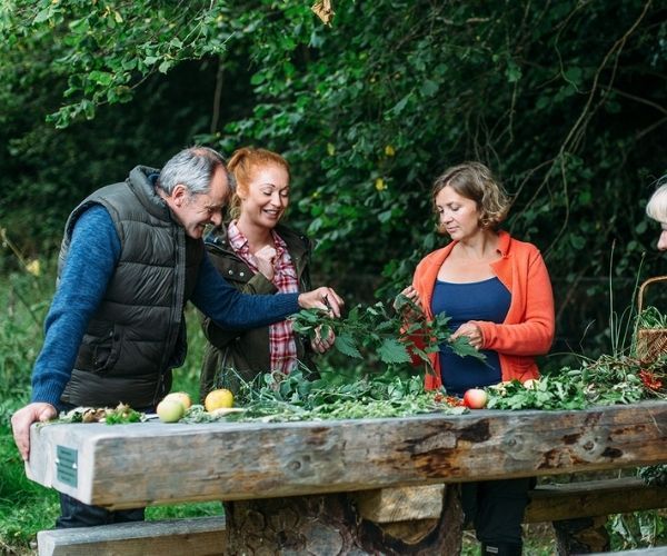 Foraging in Ireland in the Fall